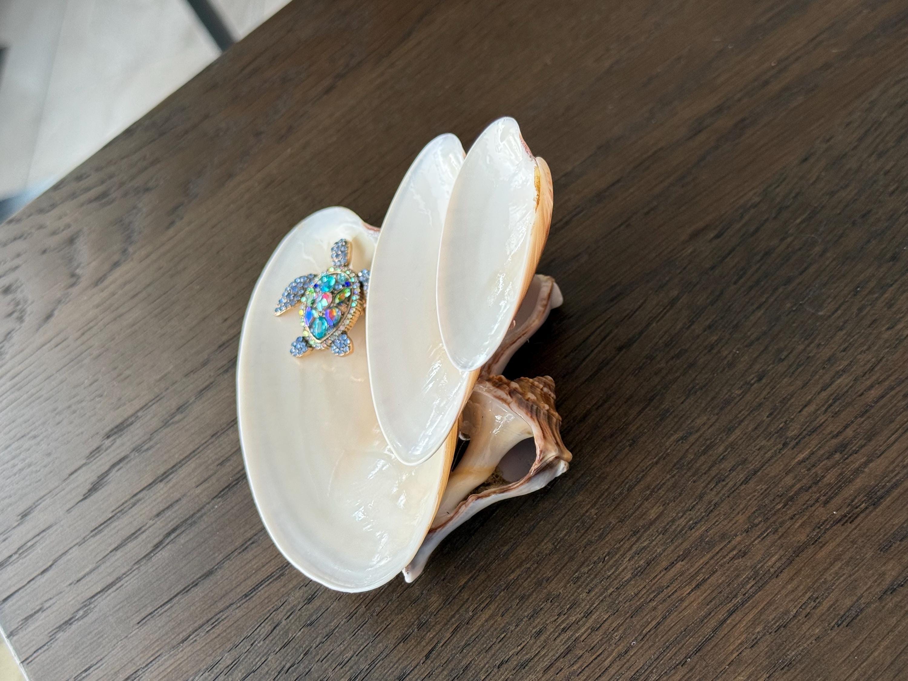 Shell Cascading Ring Holder- Turtle optional