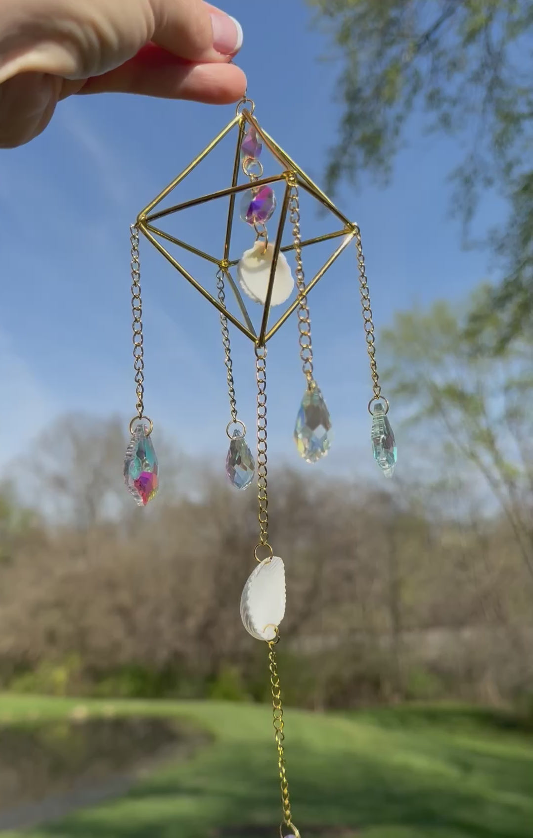 Scallop Shells, Suncatcher Providing Endless Rainbows